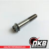 PKB Performance Parts -  Titanschraube M10x1,25x55 für Bremssattel
